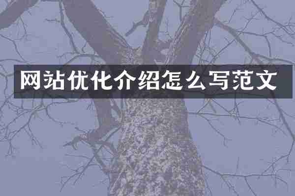 网站优化介绍怎么写范文