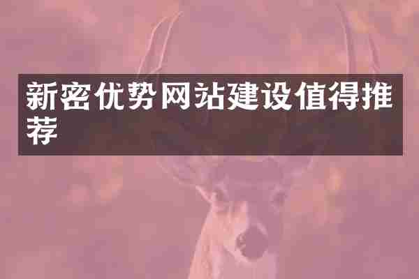 新密优势网站建设值得推荐