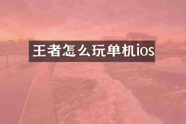 王者怎么玩单机ios