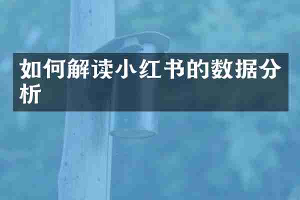 如何解读小红书的数据分析