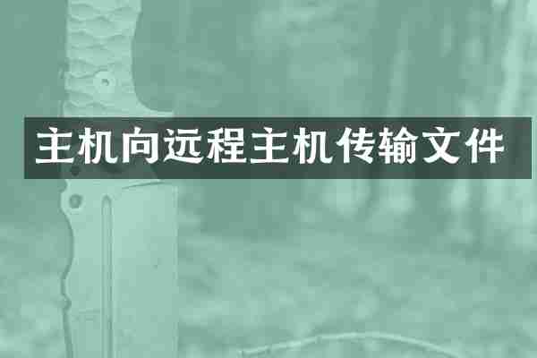 主机向远程主机传输文件