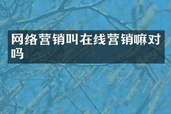 网络营销叫在线营销嘛对吗