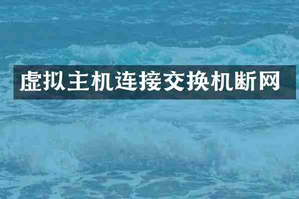 虚拟主机连接交换机断网
