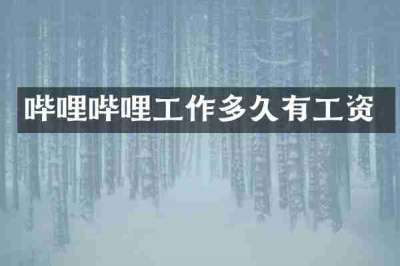 哔哩哔哩工作多久有工资
