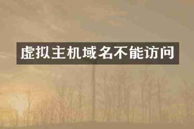 虚拟主机域名不能访问
