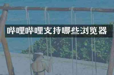 哔哩哔哩支持哪些浏览器