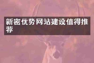 新密优势网站建设值得推荐