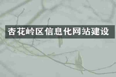 杏花岭区信息化网站建设