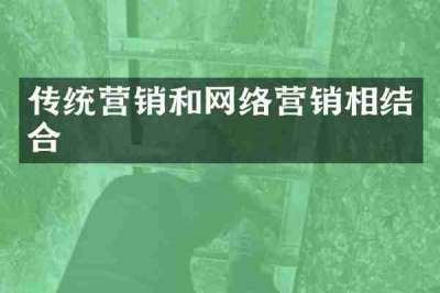 传统营销和网络营销相结合