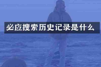 必应搜索历史记录是什么