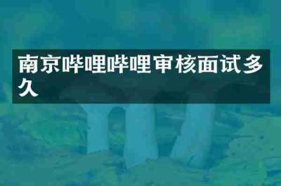 南京哔哩哔哩审核面试多久