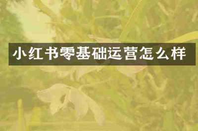 小红书零基础运营怎么样
