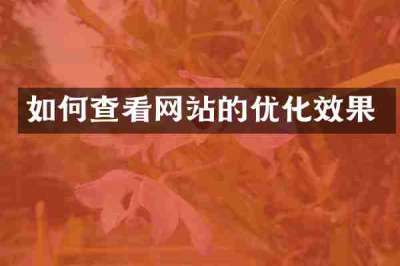 如何查看网站的优化效果