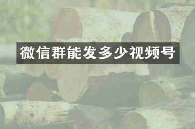 微信群能发多少视频号