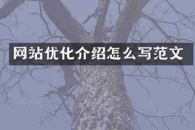 网站优化介绍怎么写范文