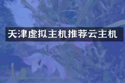 天津虚拟主机推荐云主机