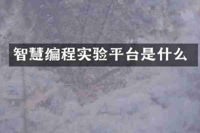 智慧编程实验平台是什么