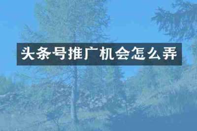 头条号推广机会怎么弄