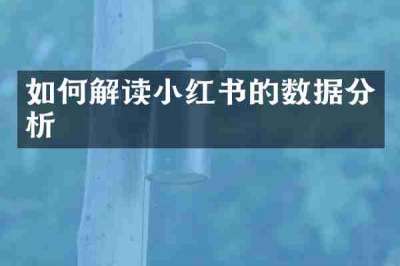 如何解读小红书的数据分析