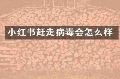 小红书赶走病毒会怎么样