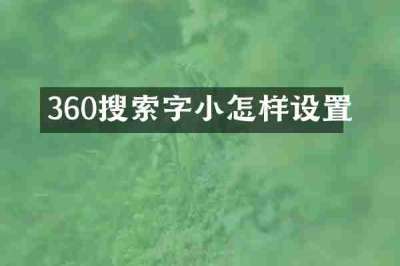 360搜索字小怎样设置