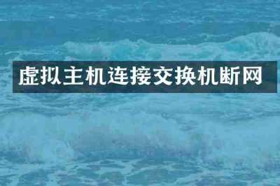 虚拟主机连接交换机断网