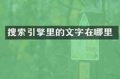 搜索引擎里的文字在哪里