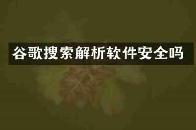 谷歌搜索解析软件安全吗