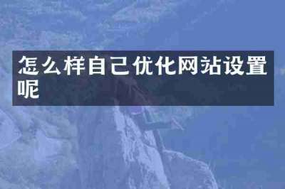怎么样自己优化网站设置呢