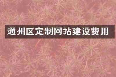 通州区定制网站建设费用