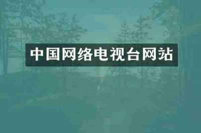中国网络电视台网站