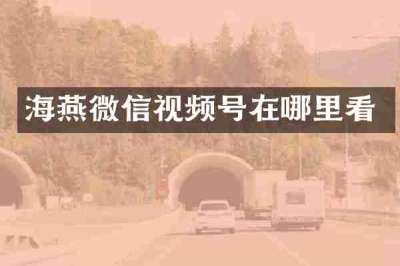 海燕微信视频号在哪里看