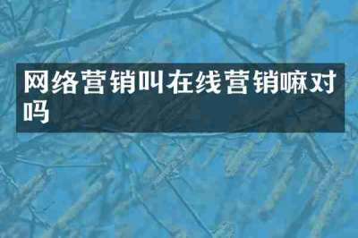 网络营销叫在线营销嘛对吗