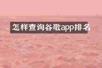 怎样查询谷歌app排名