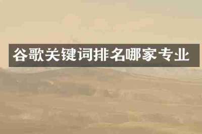 谷歌关键词排名哪家专业