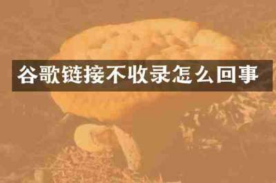 谷歌链接不收录怎么回事