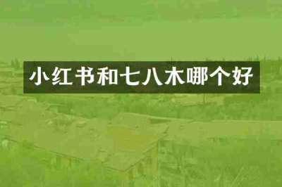 小红书和七八木哪个好