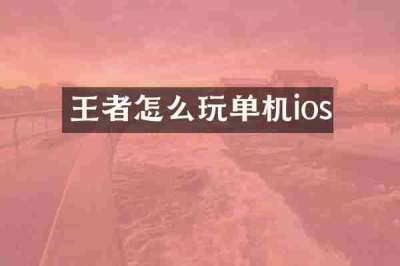 王者怎么玩单机ios