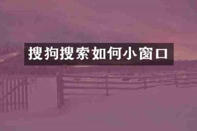 搜狗搜索如何小窗口