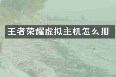 王者荣耀虚拟主机怎么用