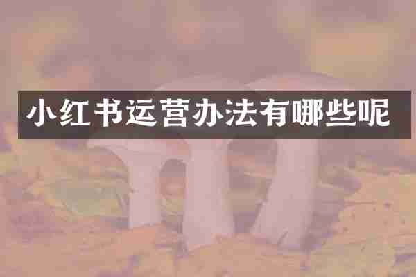小红书运营办法有哪些呢