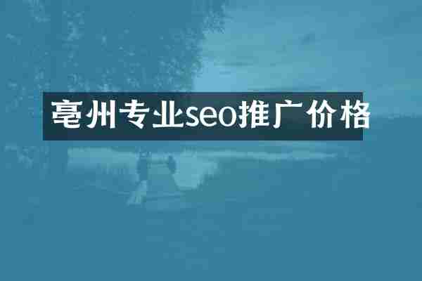 亳州专业seo推广价格