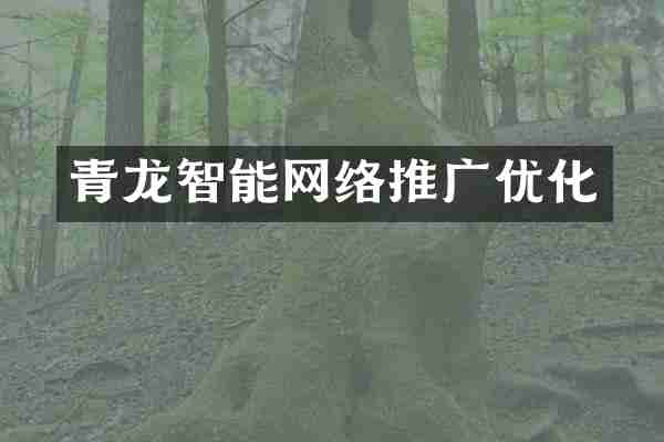 青龙智能网络推广优化