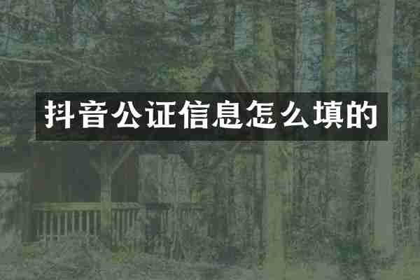 抖音公证信息怎么填的