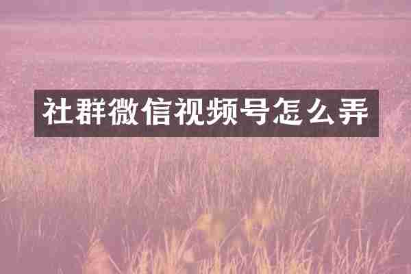 社群微信视频号怎么弄