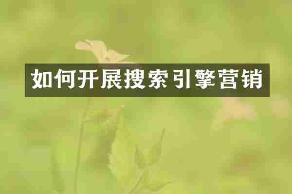 如何开展搜索引擎营销