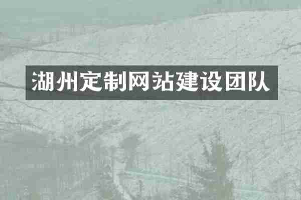 湖州定制网站建设团队