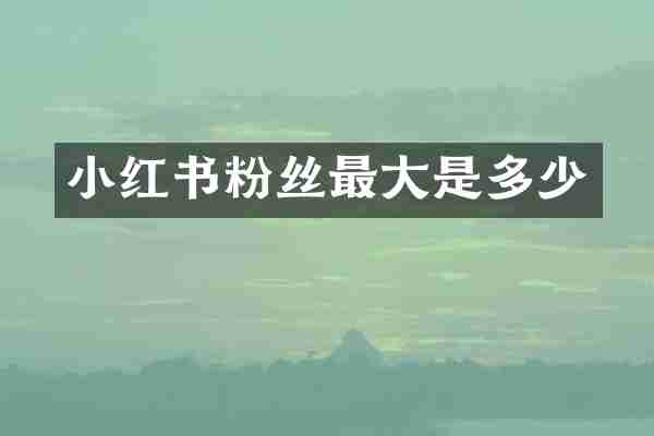 小红书粉丝最大是多少