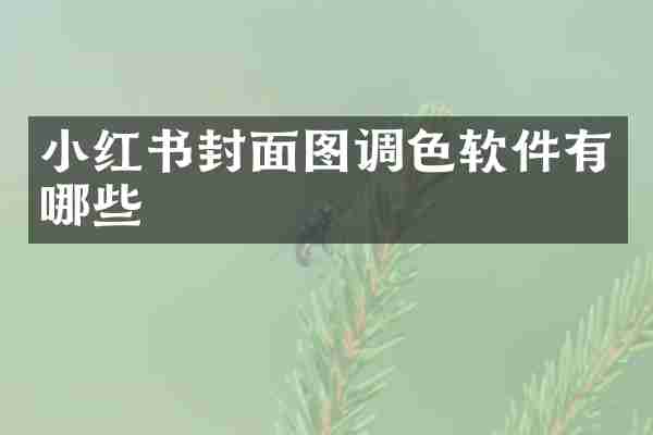 小红书封面图调色软件有哪些