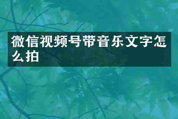 微信视频号带音乐文字怎么拍